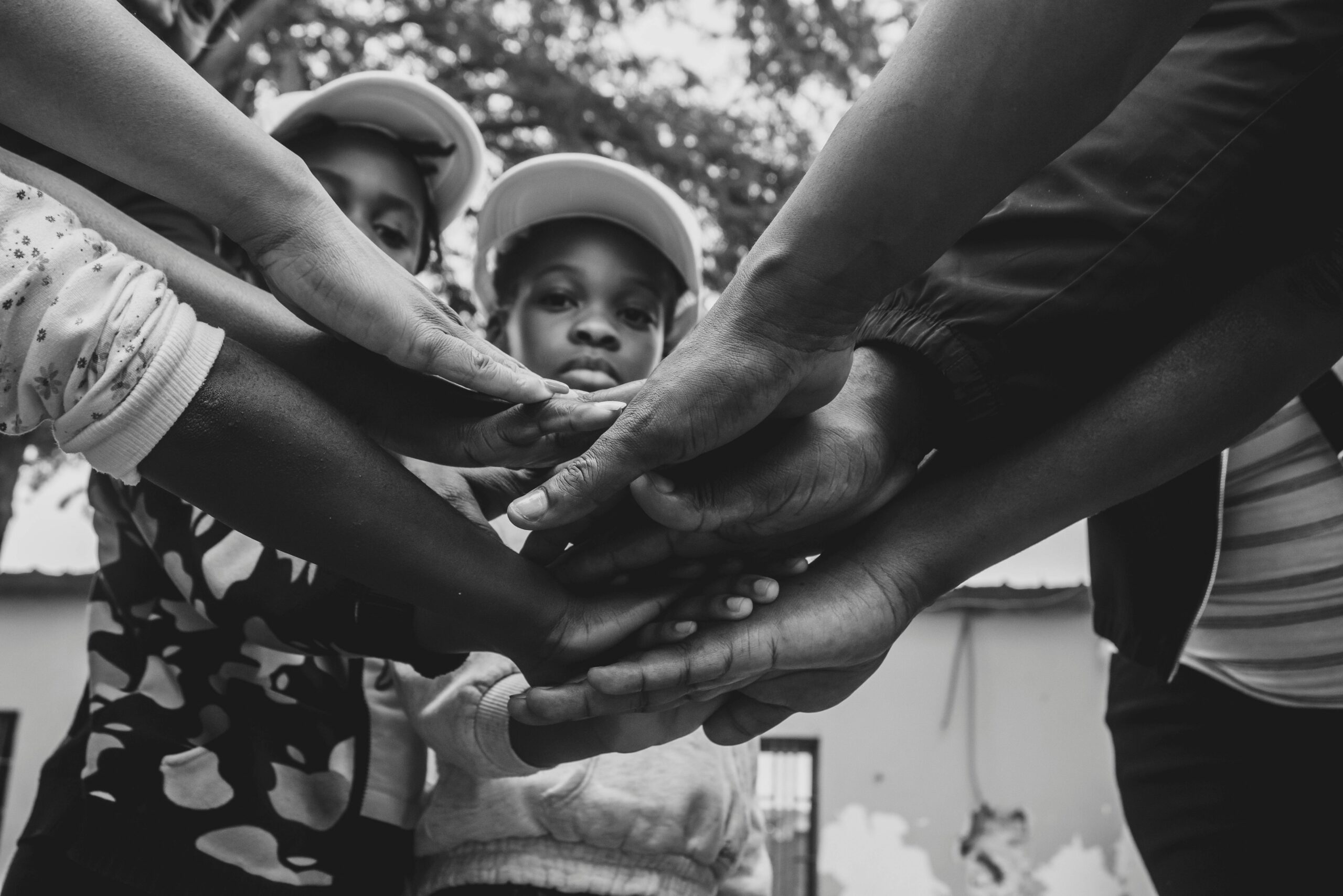 pexels-cardoso-lopes-lopes-2017574706-34984576